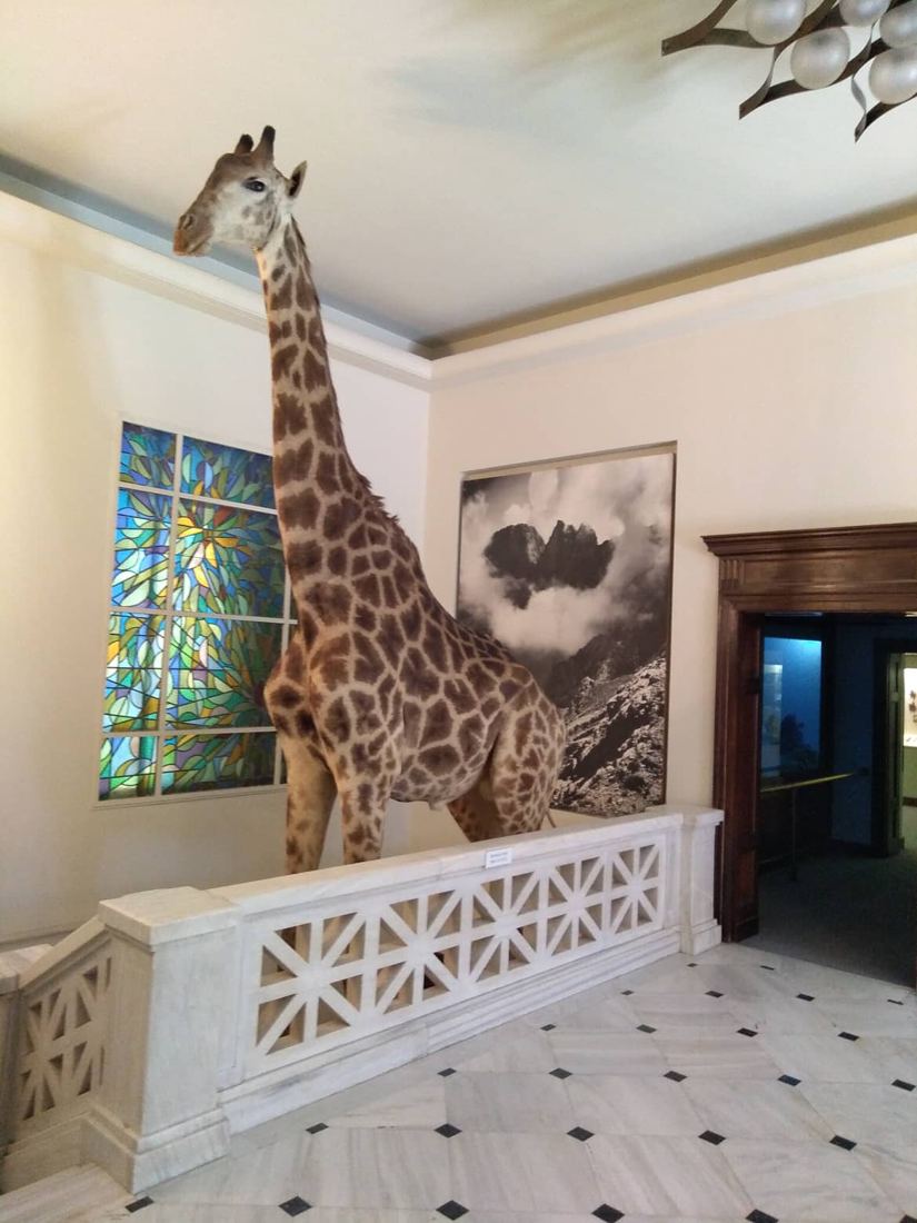 Goulandris Natural History Museum & GAIA Centre photo 2