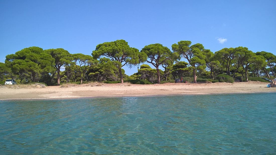 Schinias beach & pine forest photo 1