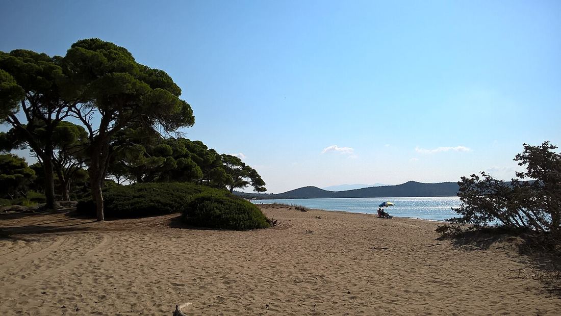 Schinias beach & pine forest photo 3