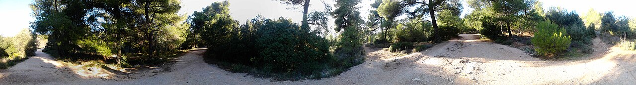 Syngrou Estate & Forest photo 1