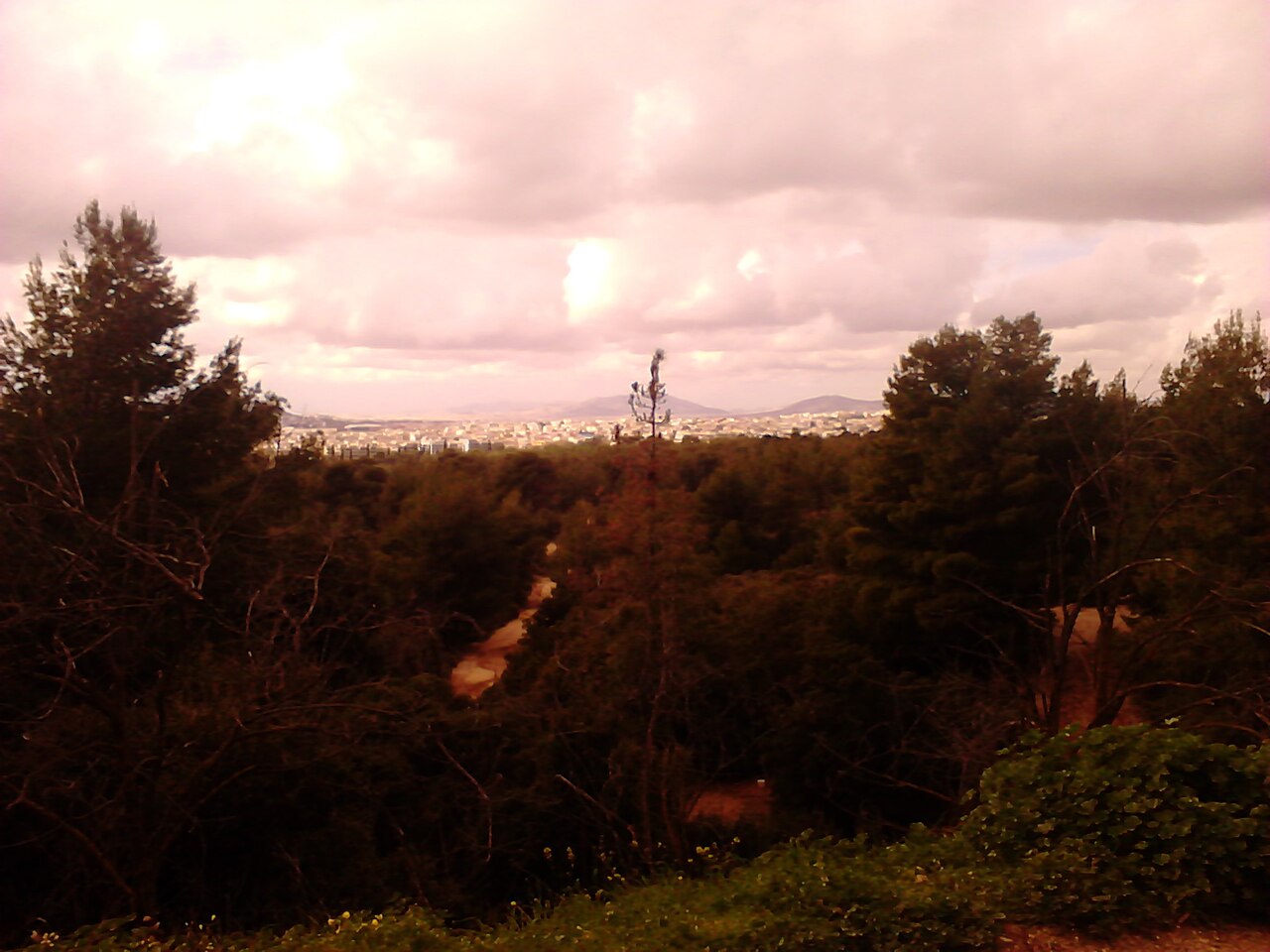 Syngrou Estate & Forest photo 2